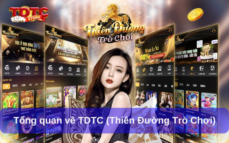 Trải nghiệm ưu đãi cho người chơi VIP Thiên Đường Trò Chơi 1 Tổng quan về TDTC (Thiên Đường Trò Chơi)